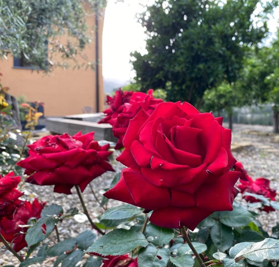 Hotel La Porta Delle Gole Motta Camastra Zewnętrze zdjęcie